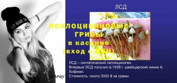 не бодяженный Новодвинск