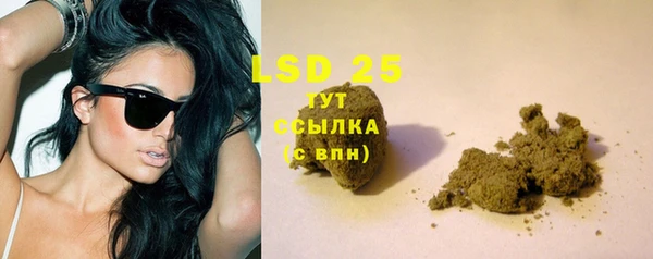 ПСИЛОЦИБИНОВЫЕ ГРИБЫ Новокубанск