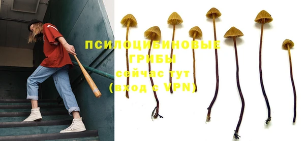 mdpv Балахна