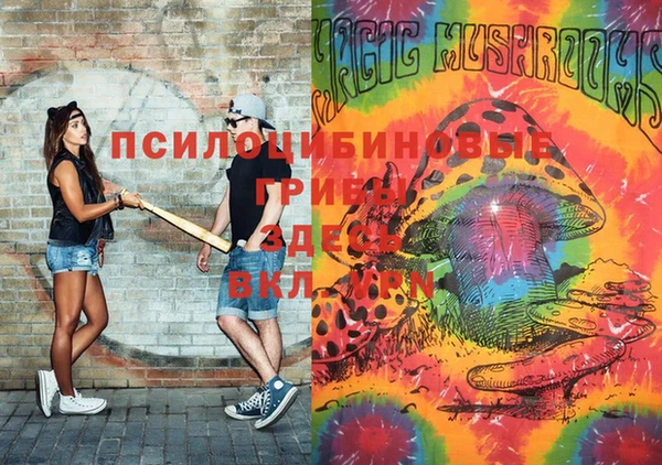 mdpv Няндома