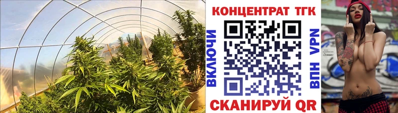 mega как войти наркошоп Коркино ТГК вейп